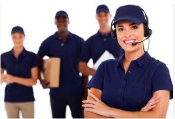 Professional Courier Staff